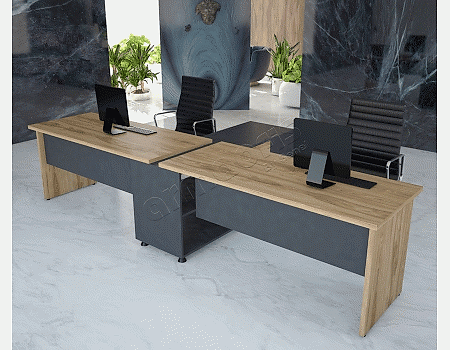 ARMA İKİLİ WORKSTATION