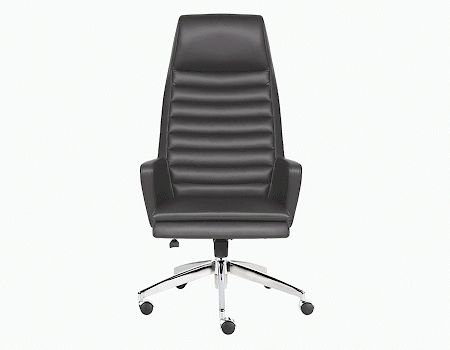 ALVİS YÖNETİCİ KOLTUĞU