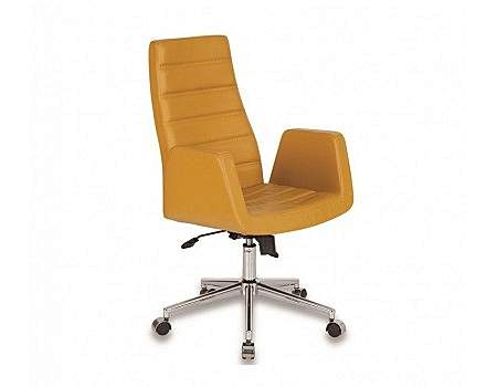 ASYA YÖNETİCİ KOLTUĞU