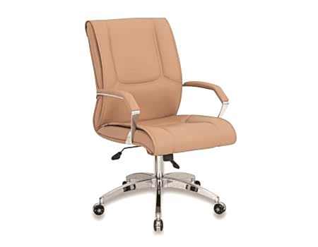 ALEYNA ŞEF & TOPLANTI KOLTUĞU 